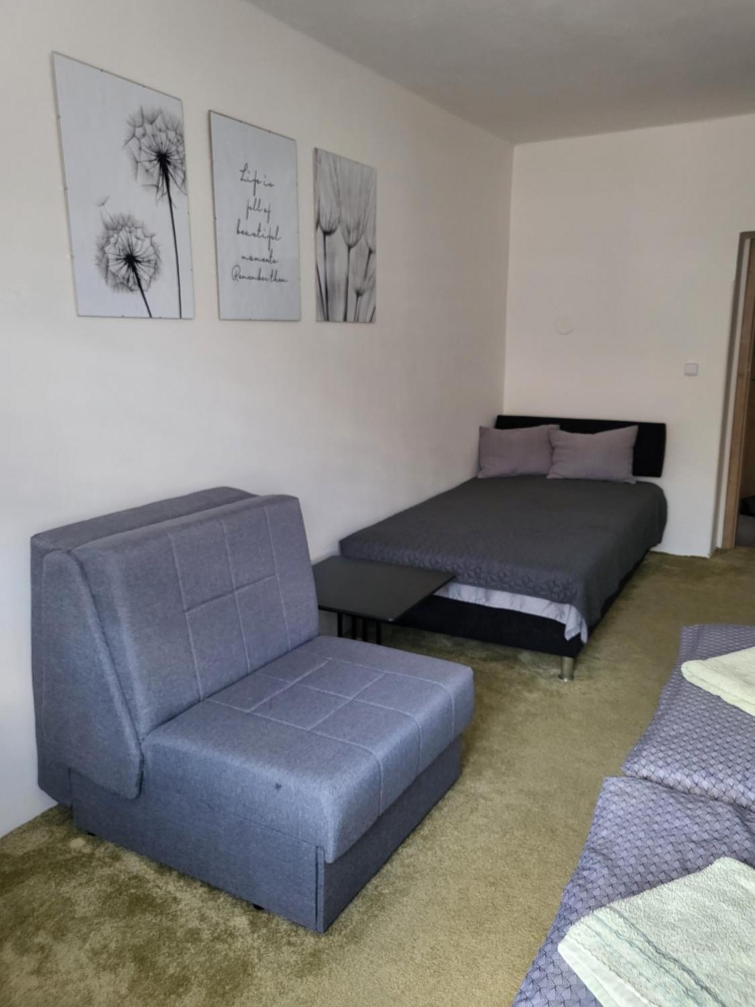 Apartman Dany Hanušovice 外观 照片